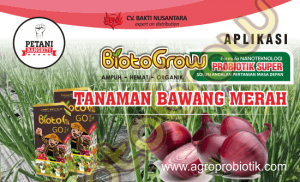 Panduan Aplikasi BiotoGrow pada Tanaman Bawang Merah