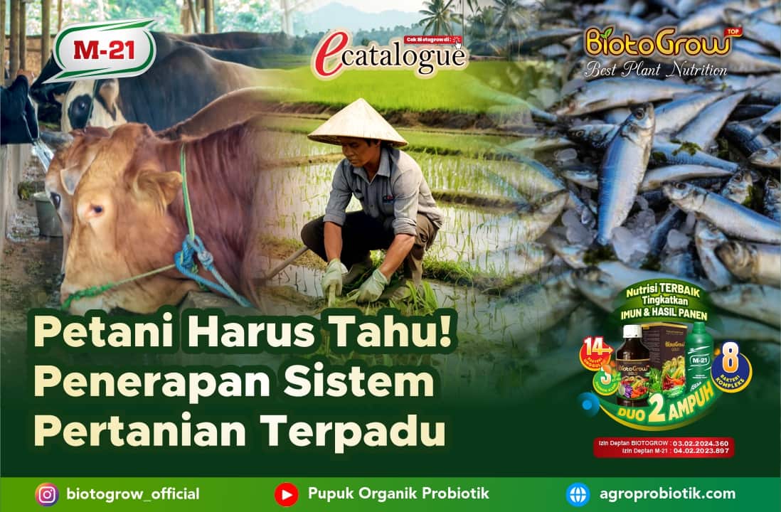 Petani Harus Tahu! Penerapan Sistem Pertanian Terpadu